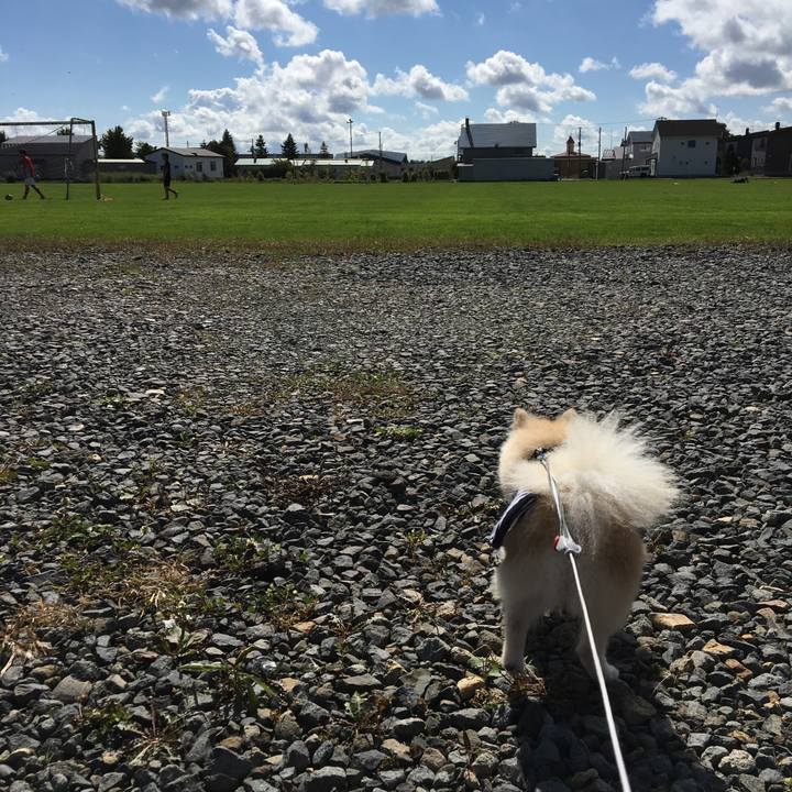 104886c7 dac8 489d b061 bcb9b46714f2