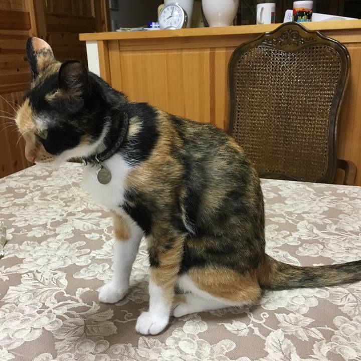 1049054a 2419 4f4b aeb8 4732732635e8