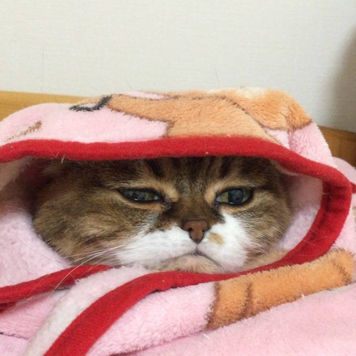 104957b7 268e 404f 90cd c5c4cb72c8ad