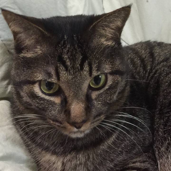 104a444c 67ab 45d3 9e17 da469bbf4a4b