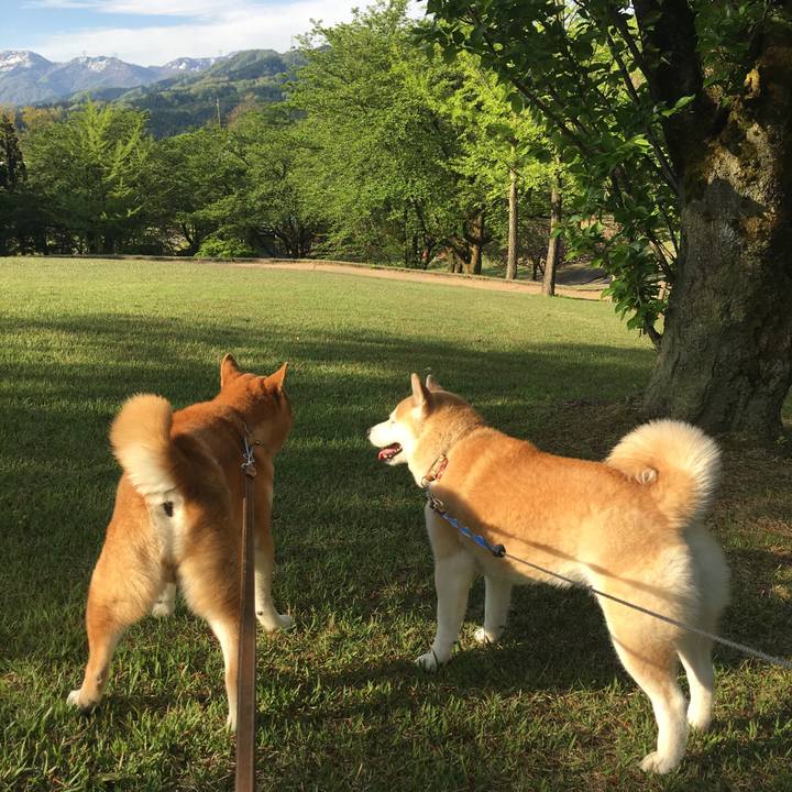 104a5fa5 02fd 4eed 9970 0f2ef2ba7749