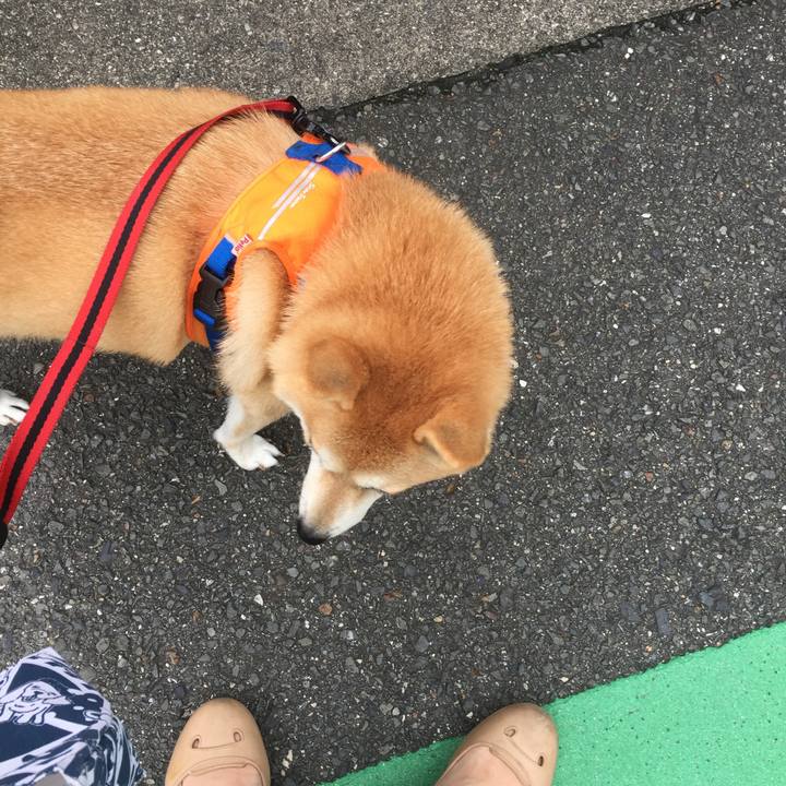 104a692c d4d1 412f 9832 86bf43d1b079