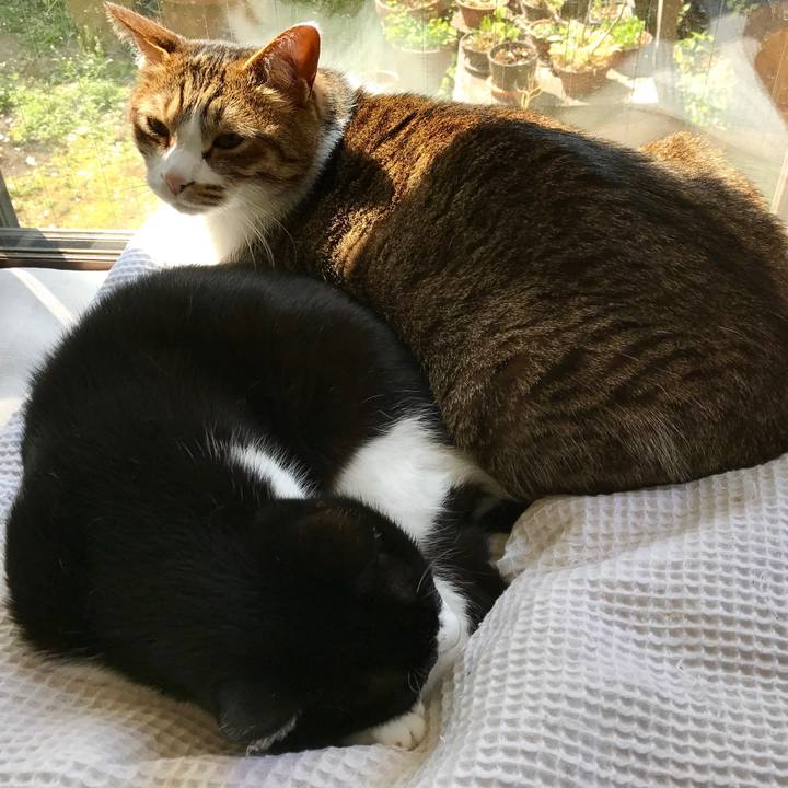 104aa53b 3487 466e 8048 cf82dcae0d61