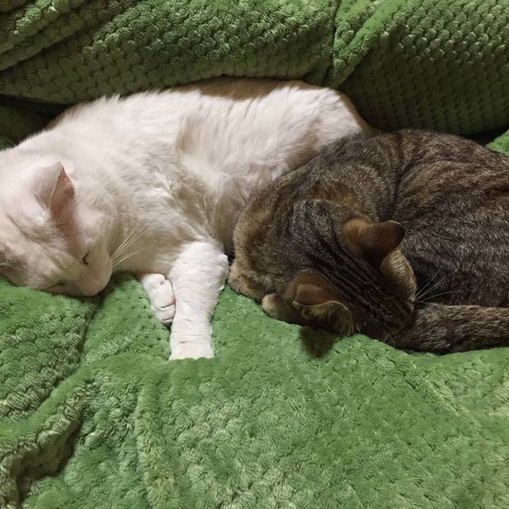 104aaeb6 51a0 4a44 9ec4 571c10d4ed73