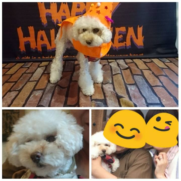 104ab711 0048 48cc 9bcf c9227e44d257