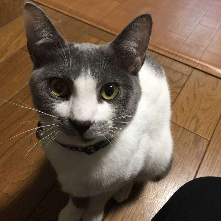 104b581b 047f 4f1a 8a03 e99709437164