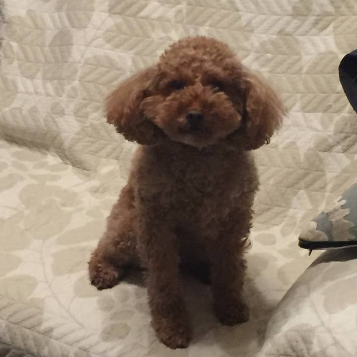 104ca148 b201 4f46 b1da 935a07e08f17