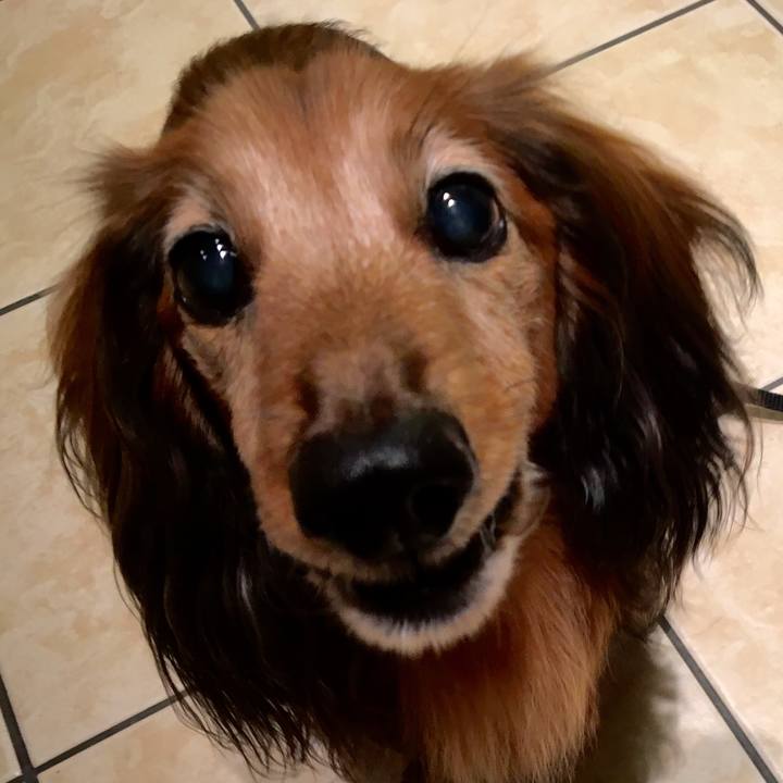 104cb3cd b5fe 4049 a86a bd1dc3f39c12