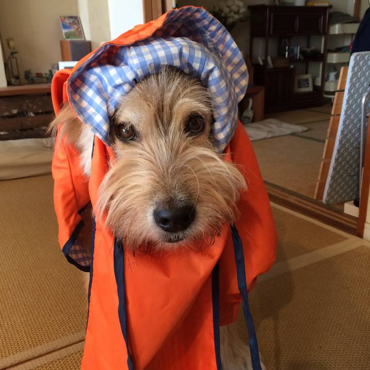 104cb4d8 fe83 4247 98c2 fe887ec018a5