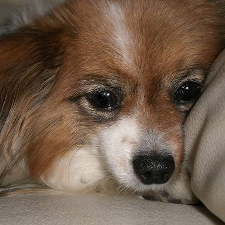 104cfc47 dfd1 4d07 82d4 efce2a54093e