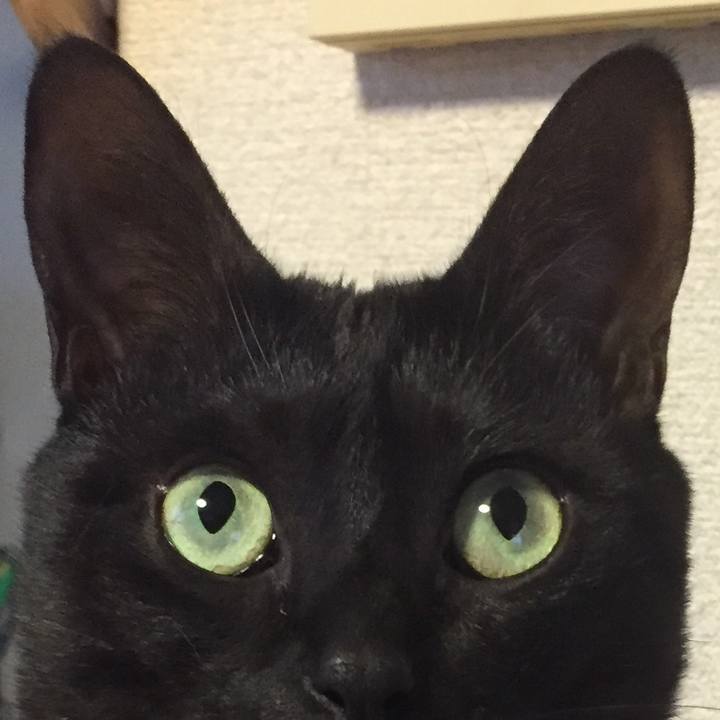 104d20f1 9859 4a6e 8a03 ec3c50aab78f