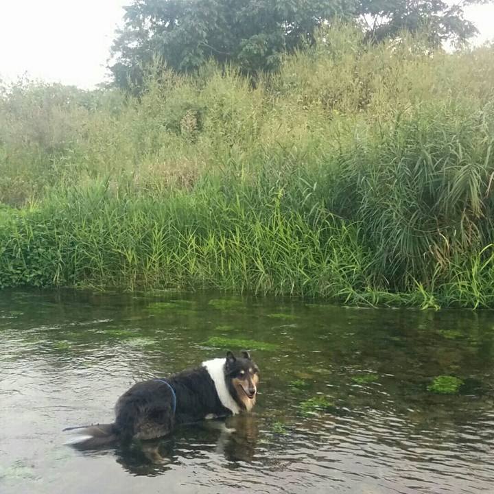 104d731c 77b3 4293 a16c 62aa0ac732b6