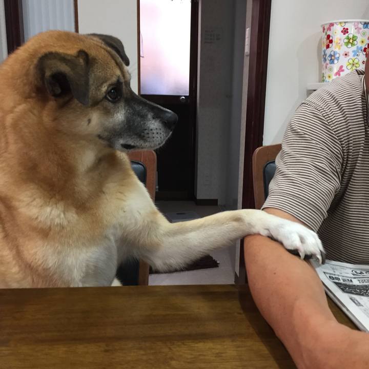 104d9039 fb7e 407e be04 d521ca4548a7