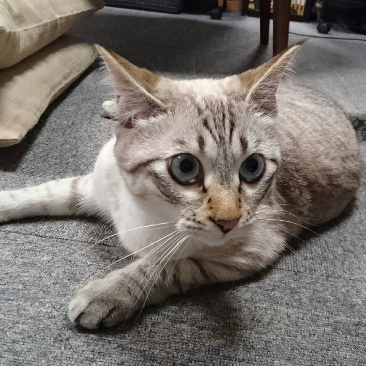 104d9531 b0be 4ae5 a462 19384c129aa3