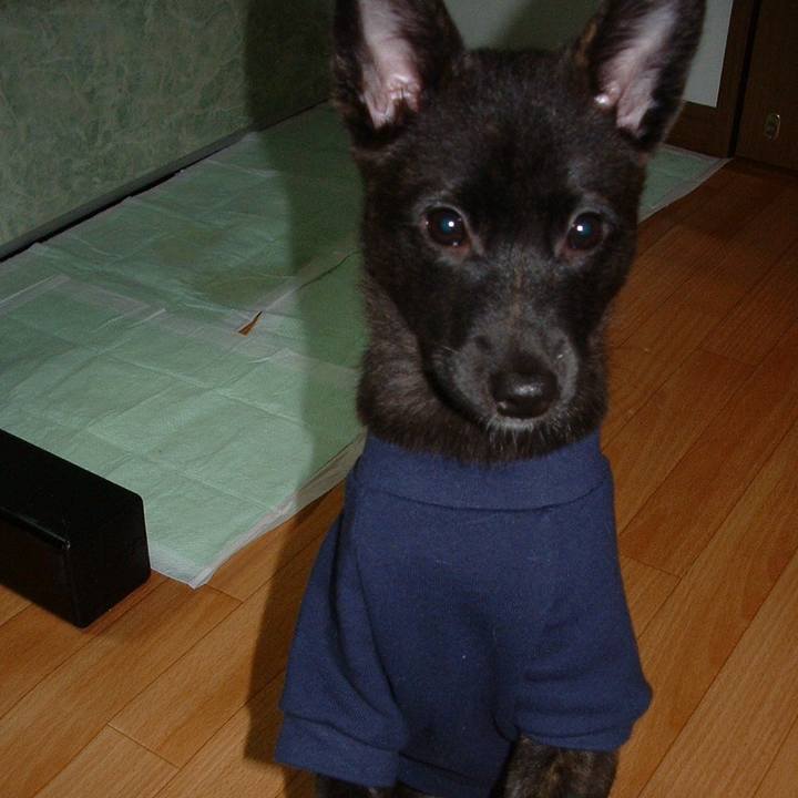 104e1cd5 ab0e 41a2 8a1b 533a73284f8c