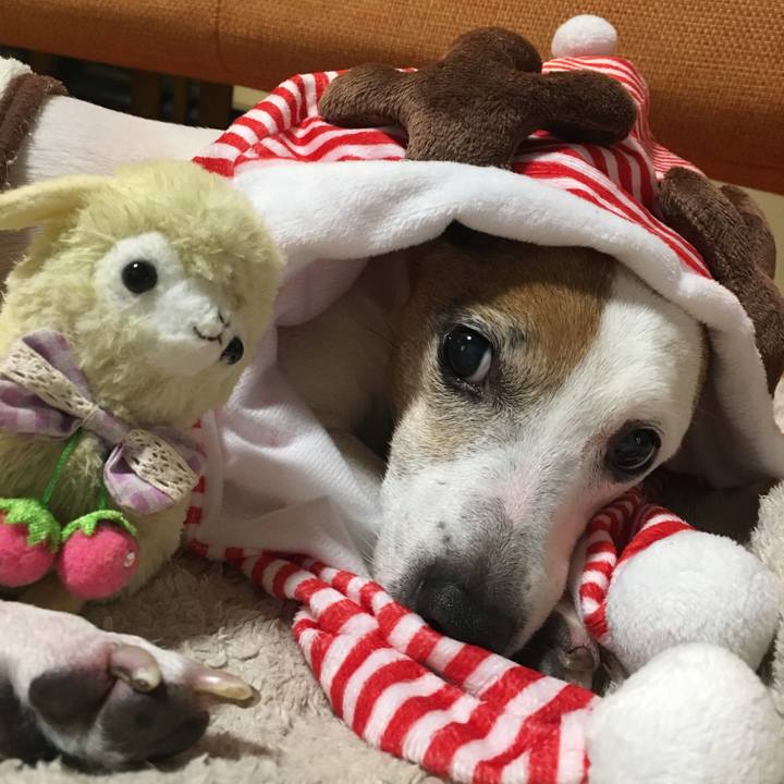 104f35fc bb69 46ed bedc 477e203f47e7