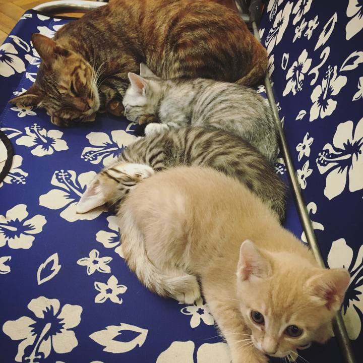 104f4324 7040 493a 8bc2 eac42ac0a6dc