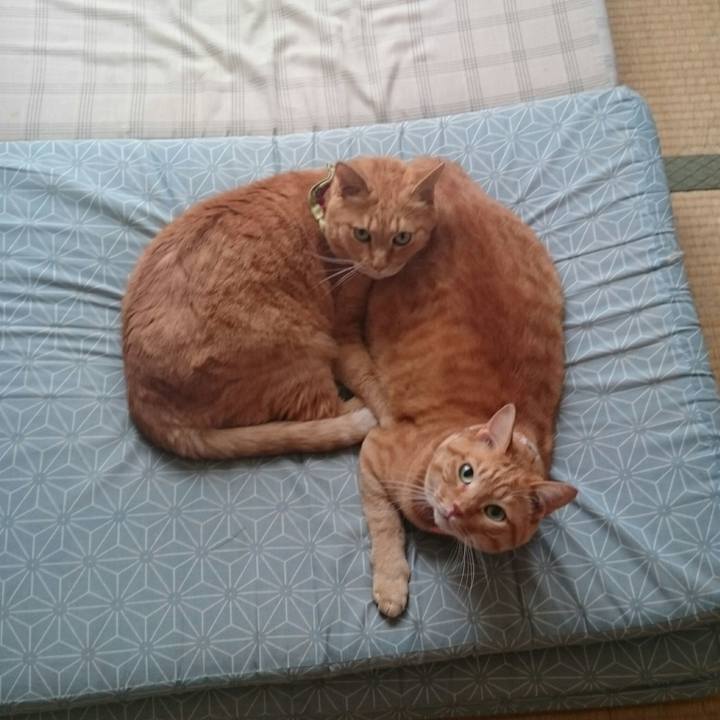 104f50ef 231e 49f6 8543 2289e331aec4