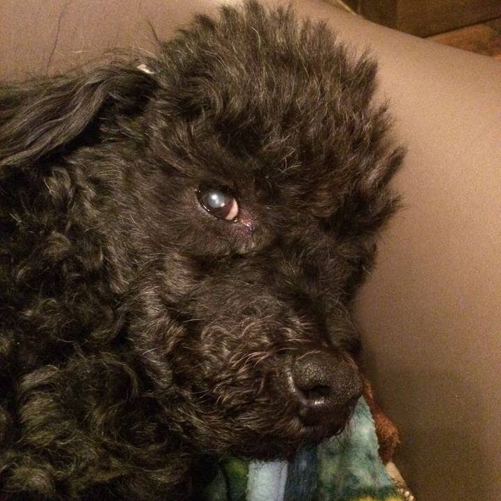 104f6dc2 8e55 45ef 8473 b62f46698dab