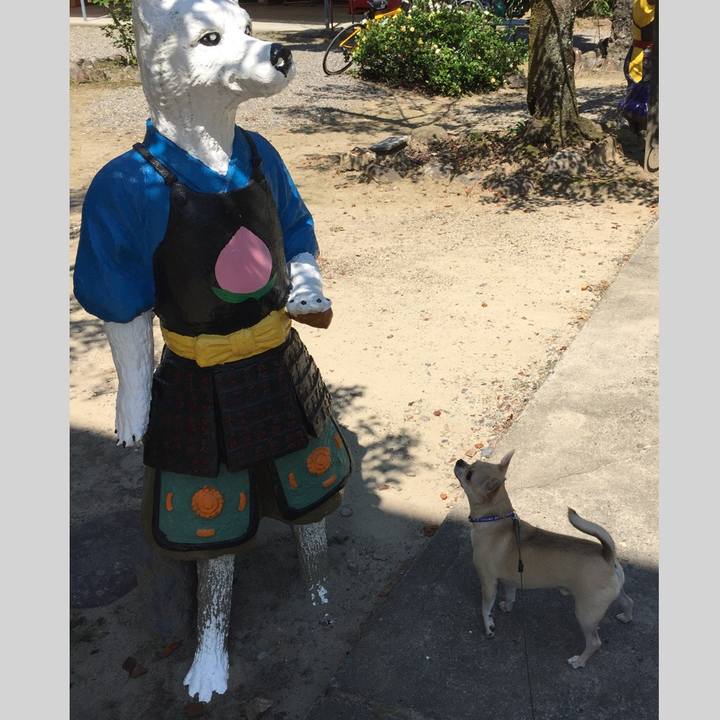 104f83fb 6505 453b b99c f37aaa0578c9