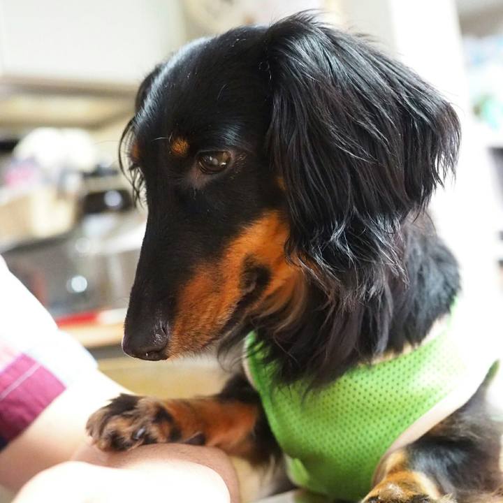 104f93ed 8dc4 483b bc38 2d0d13387f5c