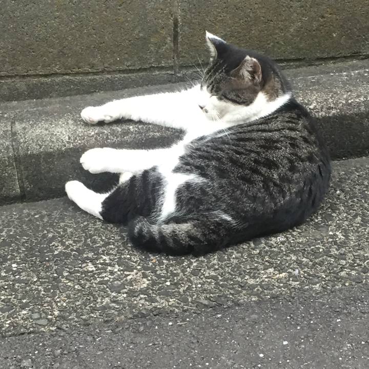 10507170 69f5 4f22 bd86 4f4ec3574efb