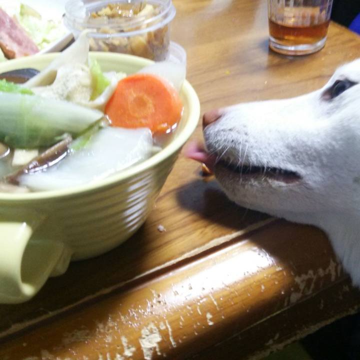 1050c6fc c247 4074 a86a dd71f5de7e0e