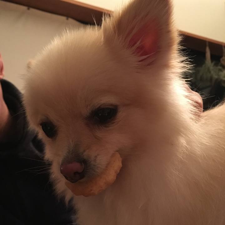 1050c723 6781 4c9b ba72 3d6883d9ebfe