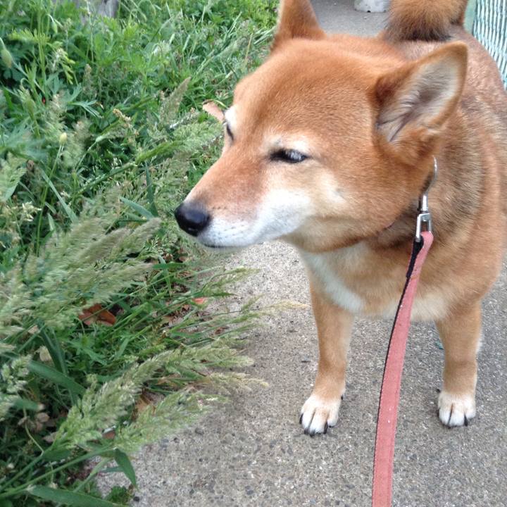 10512895 a4d7 4b9d 923e c93de3409ff9