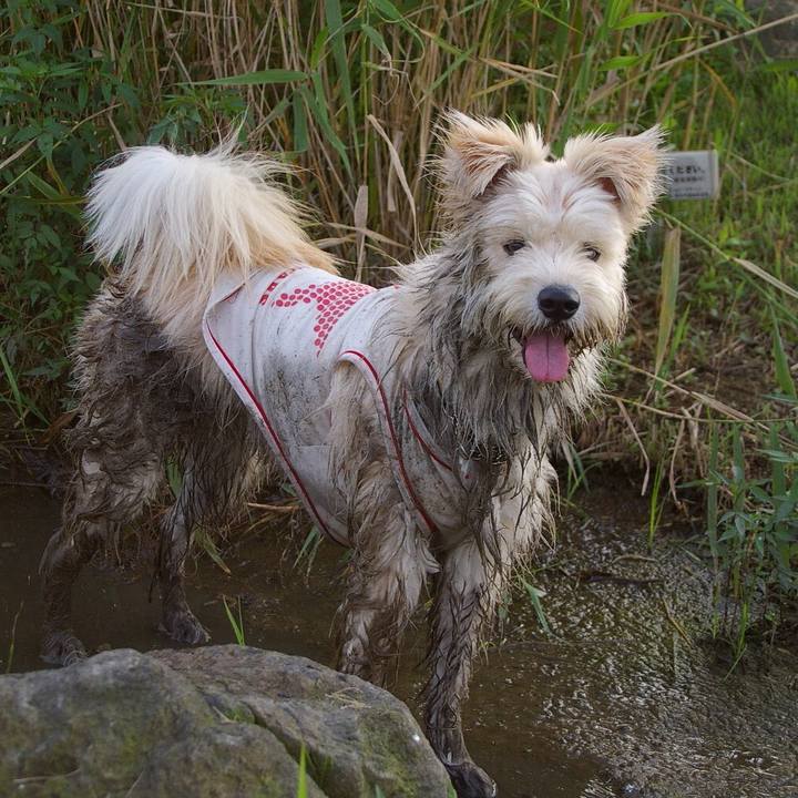 105133ce 17c3 4e87 a958 90f2c00d7a3a