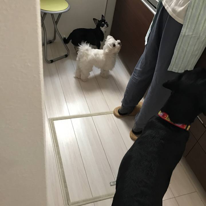 1051a3cf c8bb 46ba a955 a7c0d226a0e8