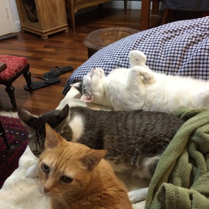 1051b603 3200 4206 a6c0 794b065f2b69