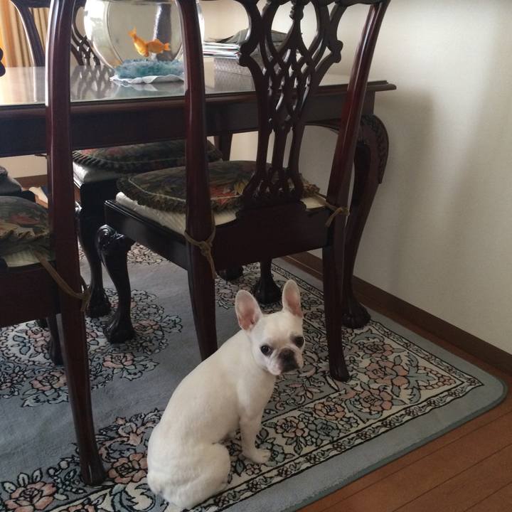 10521863 cb88 42e4 ae7d c8c3ae295b1b