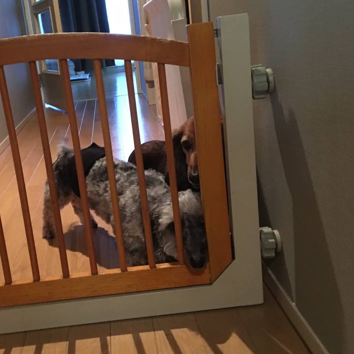 10522673 a43f 4efb a687 29c6ba5d89aa