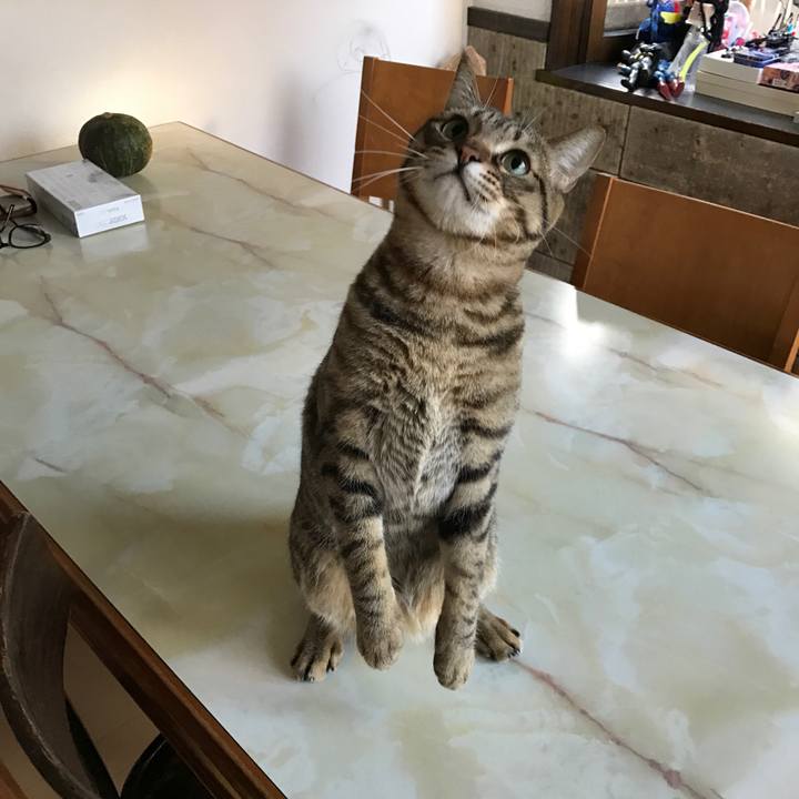 1052c7d8 6ef2 410c 97f2 84ab3d2b4d7f