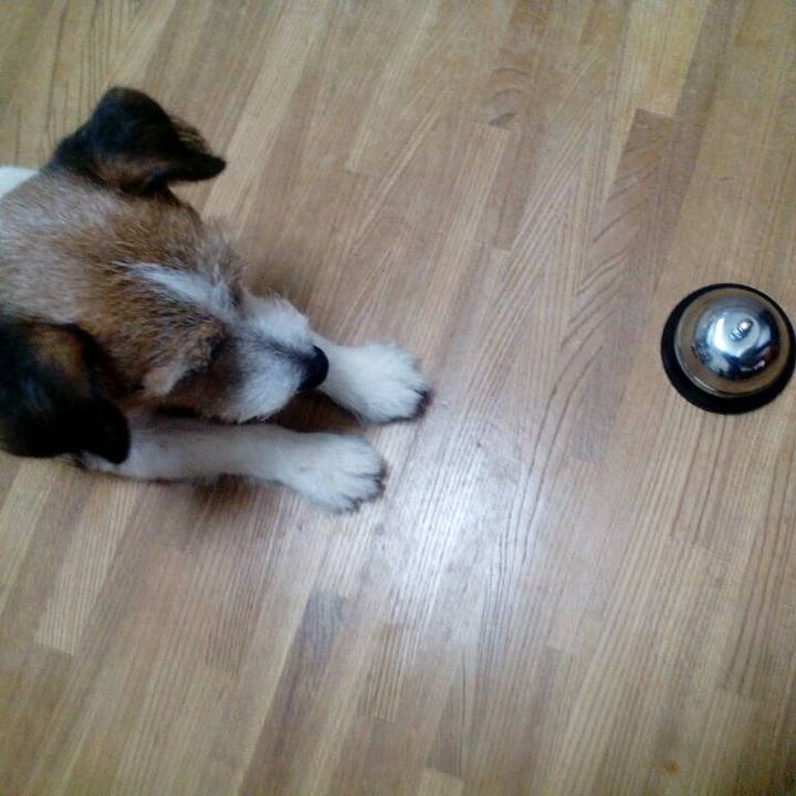 10535149 2303 437c ac82 9ea0d9176b48