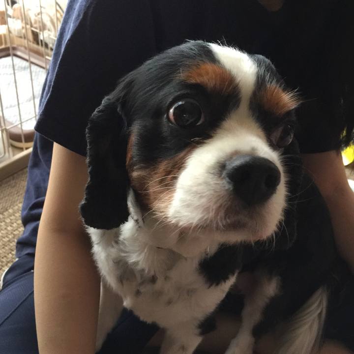 1053d6c9 0684 4dac a315 233aa2f8946c