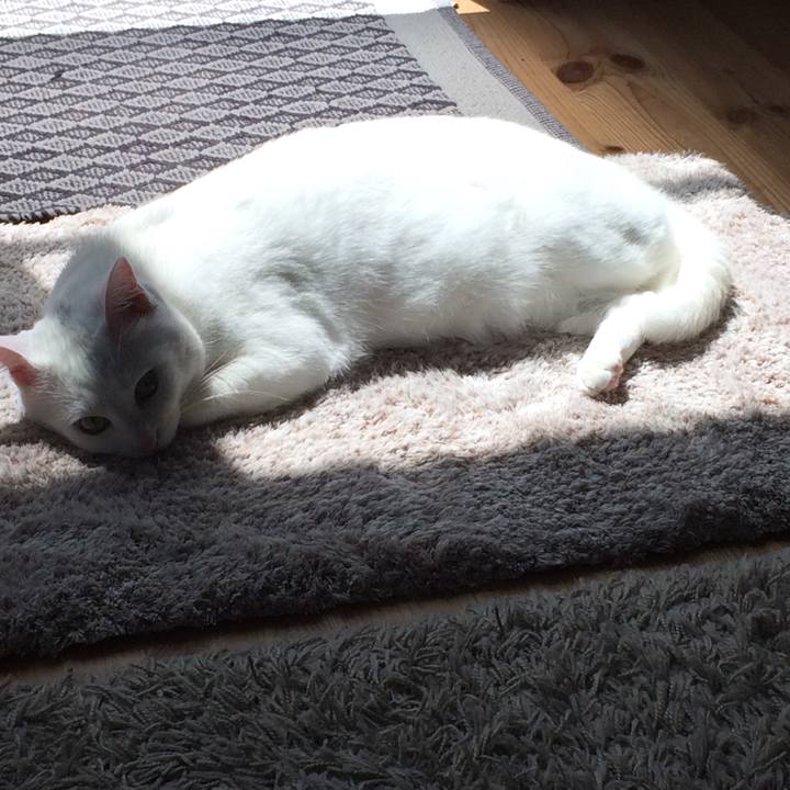 10541fd0 f61a 4a84 936c 3242e33b993e