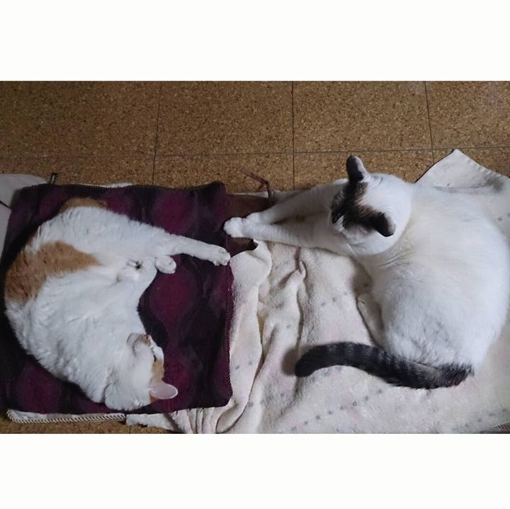 10544b18 1db2 4658 9d71 e83becc3ace6