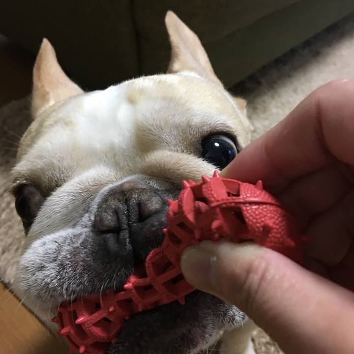 10546238 498f 4bbf b411 cd4add9e1bc9