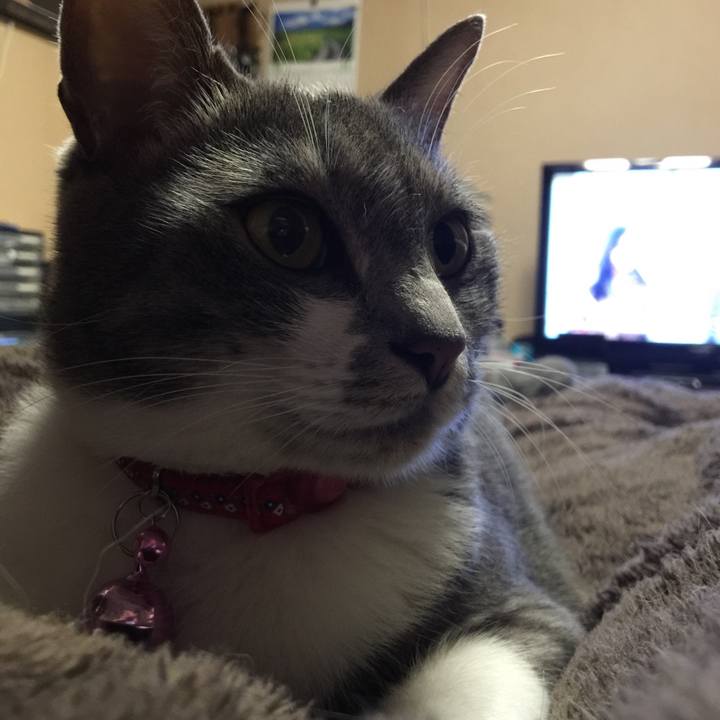 1054793a 282e 46ec 83e4 bdc49a896d07