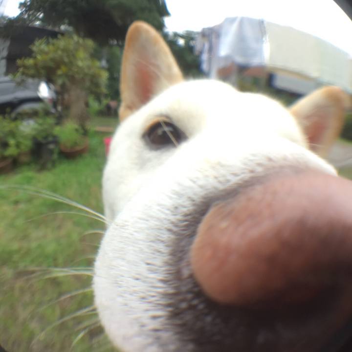 1055517e eed2 41ab a833 5f39c85bc105