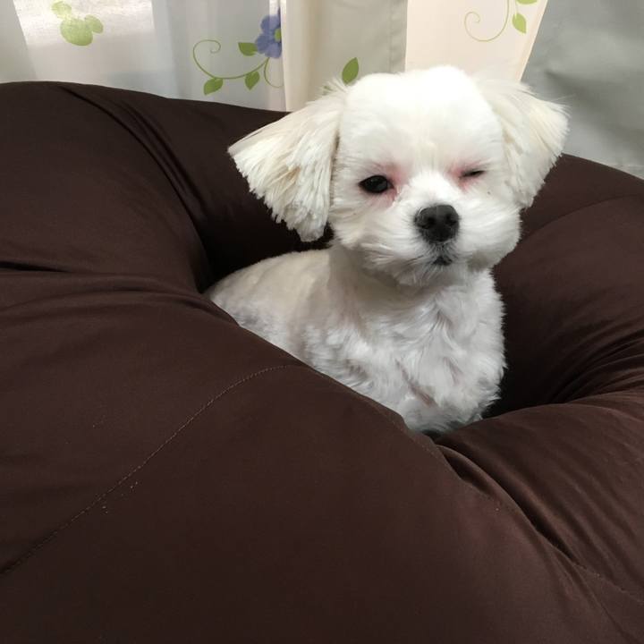 1055dd42 045d 40ac 9a1f 0b571ac26764