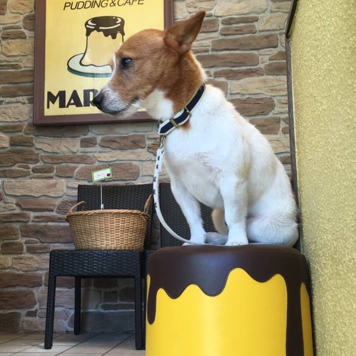 105660d8 7e46 4cdd b88c b0e52c84ba7f