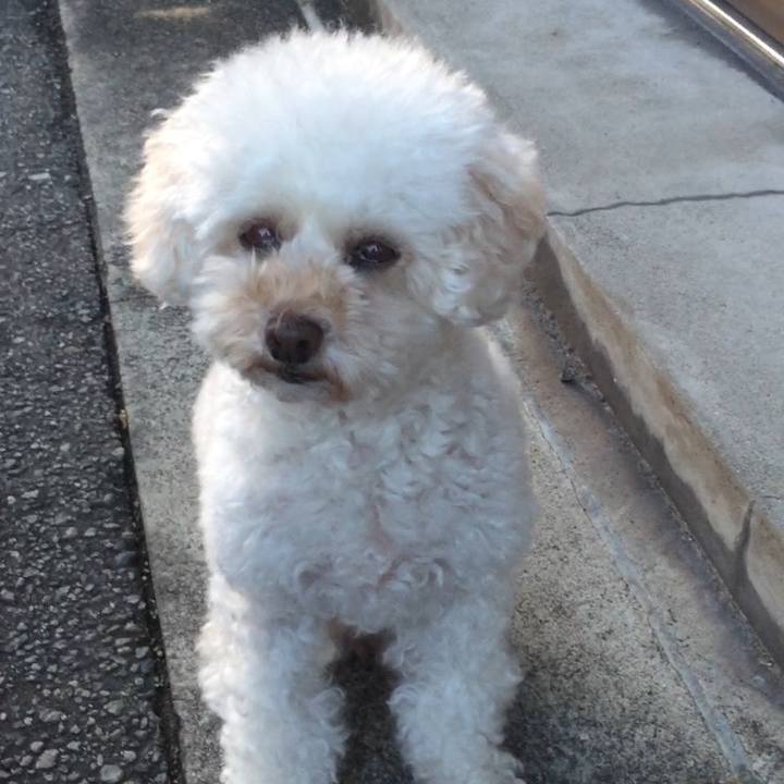 10566f55 18cc 47cf a192 dc3106c8c0e5