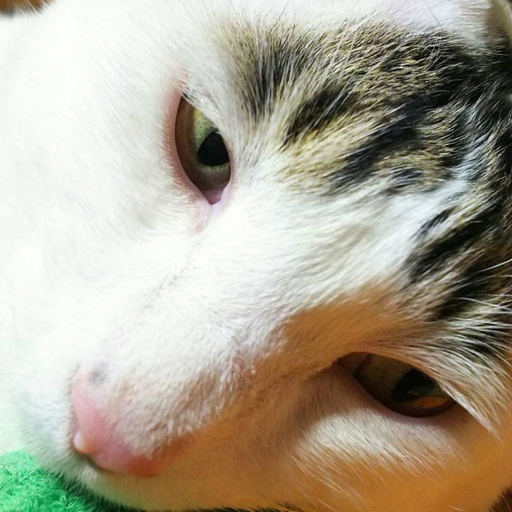 105688d0 1cb0 4a81 a493 4a1aa5810c10