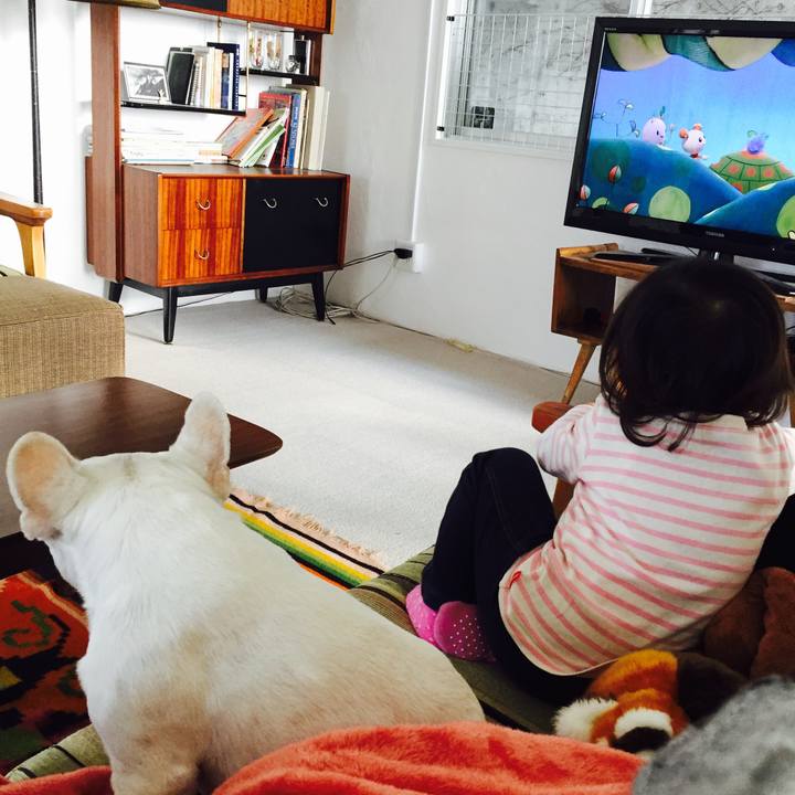 1056ddcf 4b06 47db 8588 92d6c3a15a2a