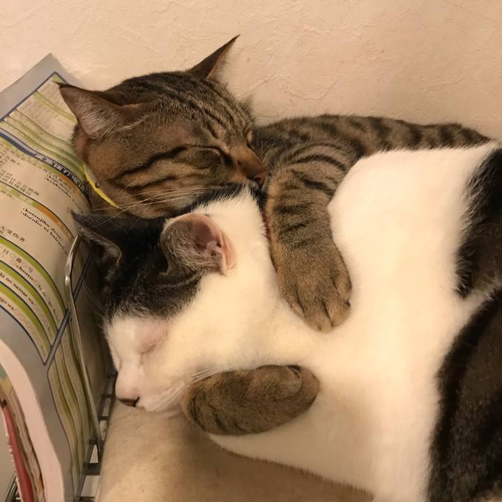 10574ed9 79a7 40bd bc30 b0f1f4088ace