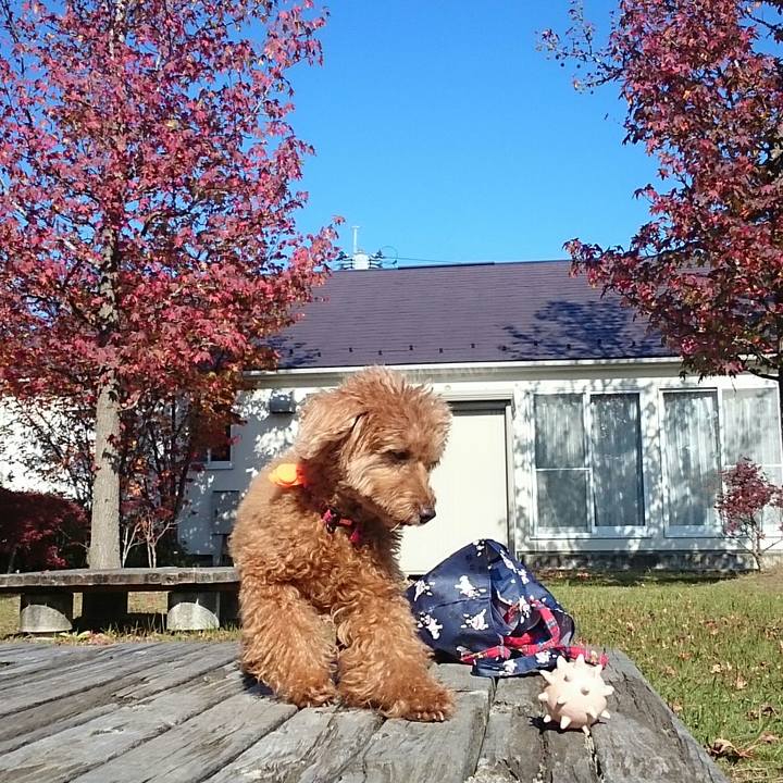 105752f8 c331 4894 8478 01448d07f2c8