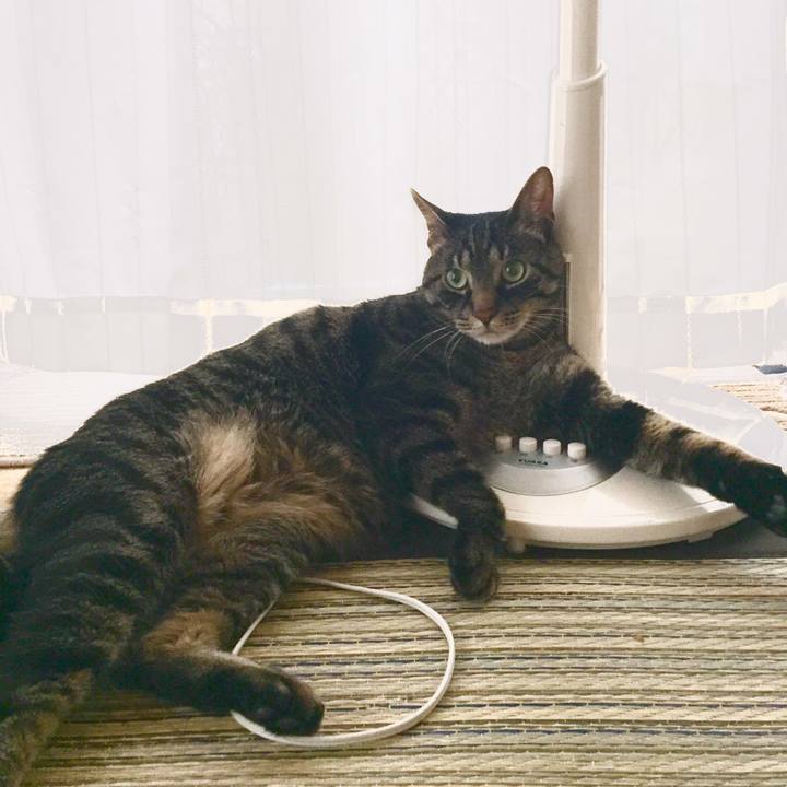 10576e4e 7630 49e2 8e51 39208ab9093b